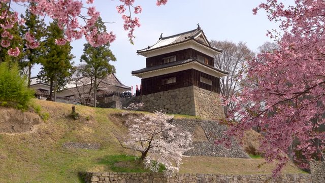 Udea castle in spring during cherry blossom season