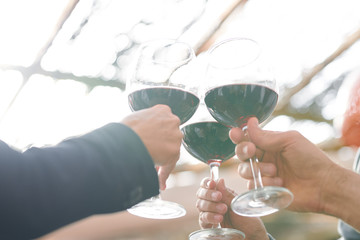 Hands of several friends clinking with wineglasses of bordo cabernet