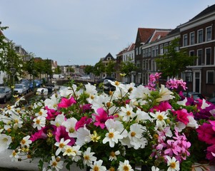 Gracht in Leiden, Niederlande