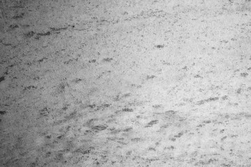Fototapeta premium cement background in gray