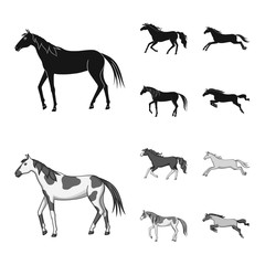 Isolated object of breed and equestrian logo. Collection of breed and mare stock symbol for web.