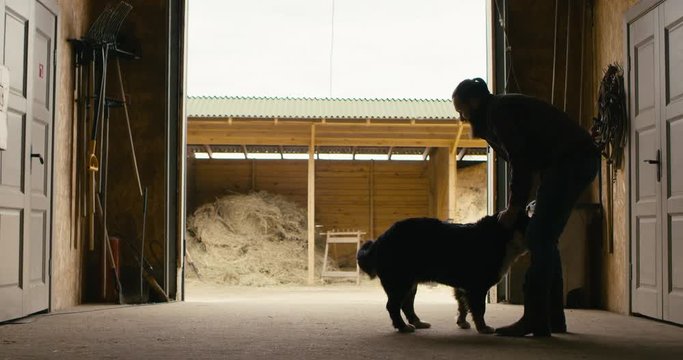 Caucasian male farmer petting his dog inside the horse stables. Shot on RED Helium. 4K UHD RAW graded footage