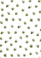 watercolor illustration plants pattern