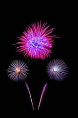 Beautiful colorful isolated firework display for celebration happy new year and merry christmas on black background