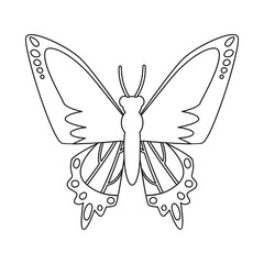 Isolated object of butterfly and species icon. Set of butterfly and flying vector icon for stock.