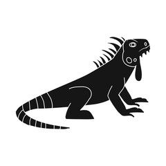 Vector illustration of iguana and lizard symbol. Collection of iguana and colorful stock symbol for web.