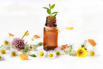 Obraz na płótnie Canvas Essential oils from natural herbs for alternative medicine
