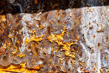 Rusty texture and metal weathered surfaces