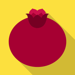 Isolated object of pomegranate and fruit sign. Collection of pomegranate and botanical stock symbol for web.