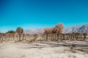 landscapes of Argentine routes