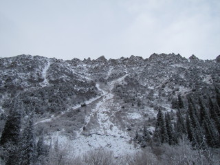 Slope of a Hill in the Ala Archa National Park in Kyrgyzstan