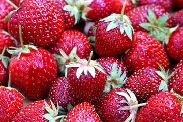 Frische rote Erdbeeren