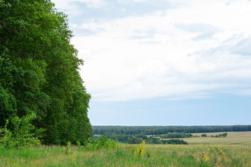 Green background with a beautiful lawn and blue sky