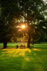 Three young men sitting on a bench in a park relaxing, talking and catching as the sun goes down