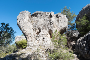 Natural place formed by vegetation and rocks with shapes caused by erosion