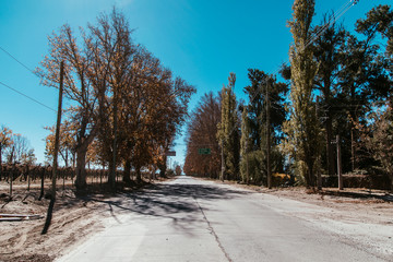 landscapes of Argentine routes