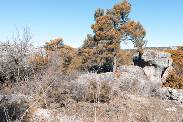 Natural place formed by vegetation and rocks with shapes caused by erosion