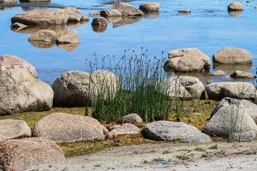 View to stones coasline.