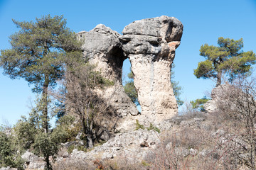 Natural place formed by vegetation and rocks with shapes caused by erosion