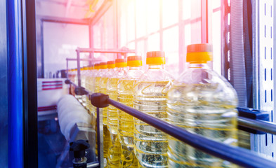 Bottling line of sunflower oil in bottles. Vegetable oil production plant. High technology.
