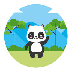 cute panda bear animal landscape natural