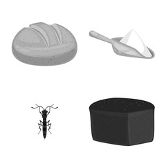 Vector illustration of rye and plant logo. Collection of rye and corn vector icon for stock.