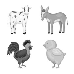 Vector design of homestead and agriculture icon. Collection of homestead and kitchen stock vector illustration.