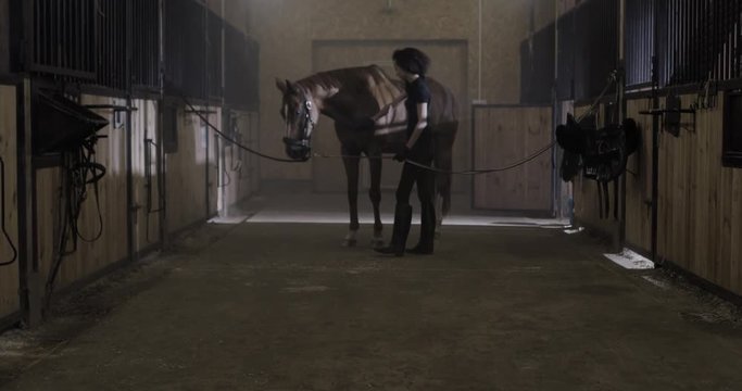 MED DOLLY IN Attractive Caucasian female grooming her horse inside stables. Shot on RED Helium. 4K UHD RAW graded footage