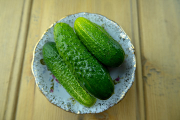 Green cucumbers on a plate on the table