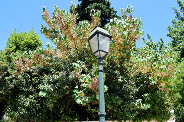 lamp street