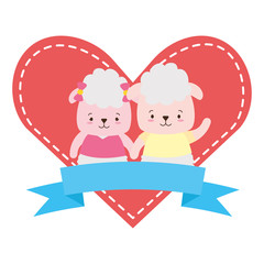 cute couple sheep animals heart love ribbon
