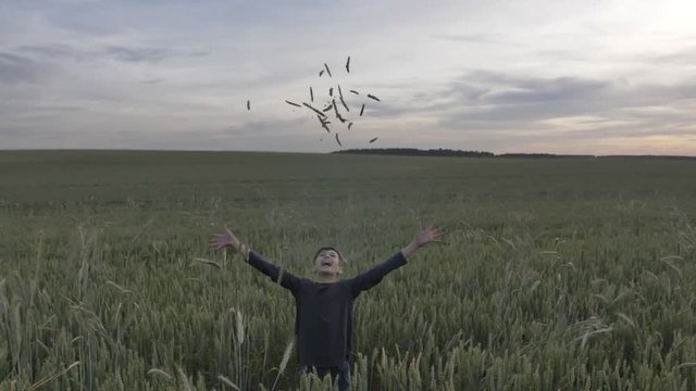 funny boy throws up wheat ears in the field in the evening
