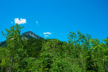 Beautiful blue sky in the mountains east of Salt Lake City, Utah
