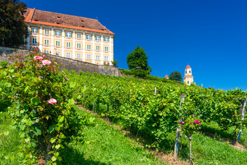 Fototapeta na wymiar Castle Stainz and vineyard, Styria, Austria