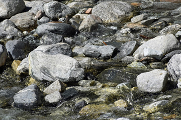 Fototapeta na wymiar Creek over Rocks