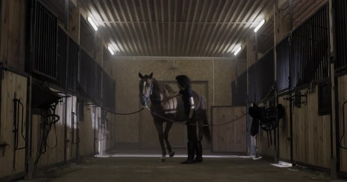 MED DOLLY IN Attractive Caucasian female grooming her horse inside stables. Shot on RED Helium. 4K UHD RAW graded footage