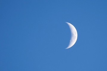 Obraz na płótnie Canvas Summery Crescent Moon