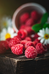 Raspberry in a red cup with chamomile and leaves on a dark background. Summer and healthy food...