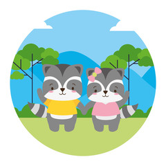 cute couple raccoon animal landscape natural