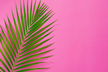 Table top view aerial image of summer season holiday background concept.Flat lay coconut or palm green leaf on modern rustic pink paper backdrop.Free space for creative design mock up text for content