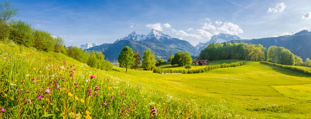 Foto op Plexiglas Landschap Idyllisch berglandschap in de Alpen met bloeiende weiden in de lente