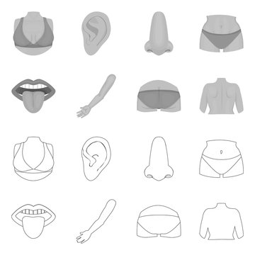 Vector illustration of body and part icon. Set of body and anatomy vector icon for stock.