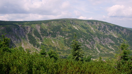 Naklejka premium Green slope in the Giant Mountains in Lower Silesia