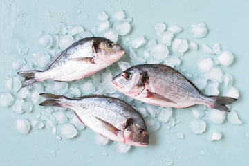 Tree fresh dorado on the crushed ice, blue table