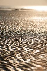 Low angle view of the wave formations in sand at low tide. A vertical view with deliberate narrow depth of field.Background - Image
