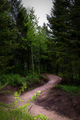 Grand Teton hiking trails