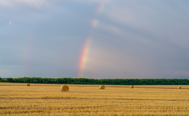 beautiful multicolored rainbow over a sloping wheat field with large rolls of straw