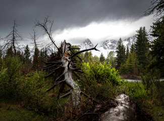 Gand Teton National Park