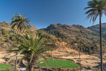 Fototapeta na wymiar The nature view of Mount Abu area