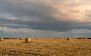 evening sky over a sloping wheat field with large rolls of straw